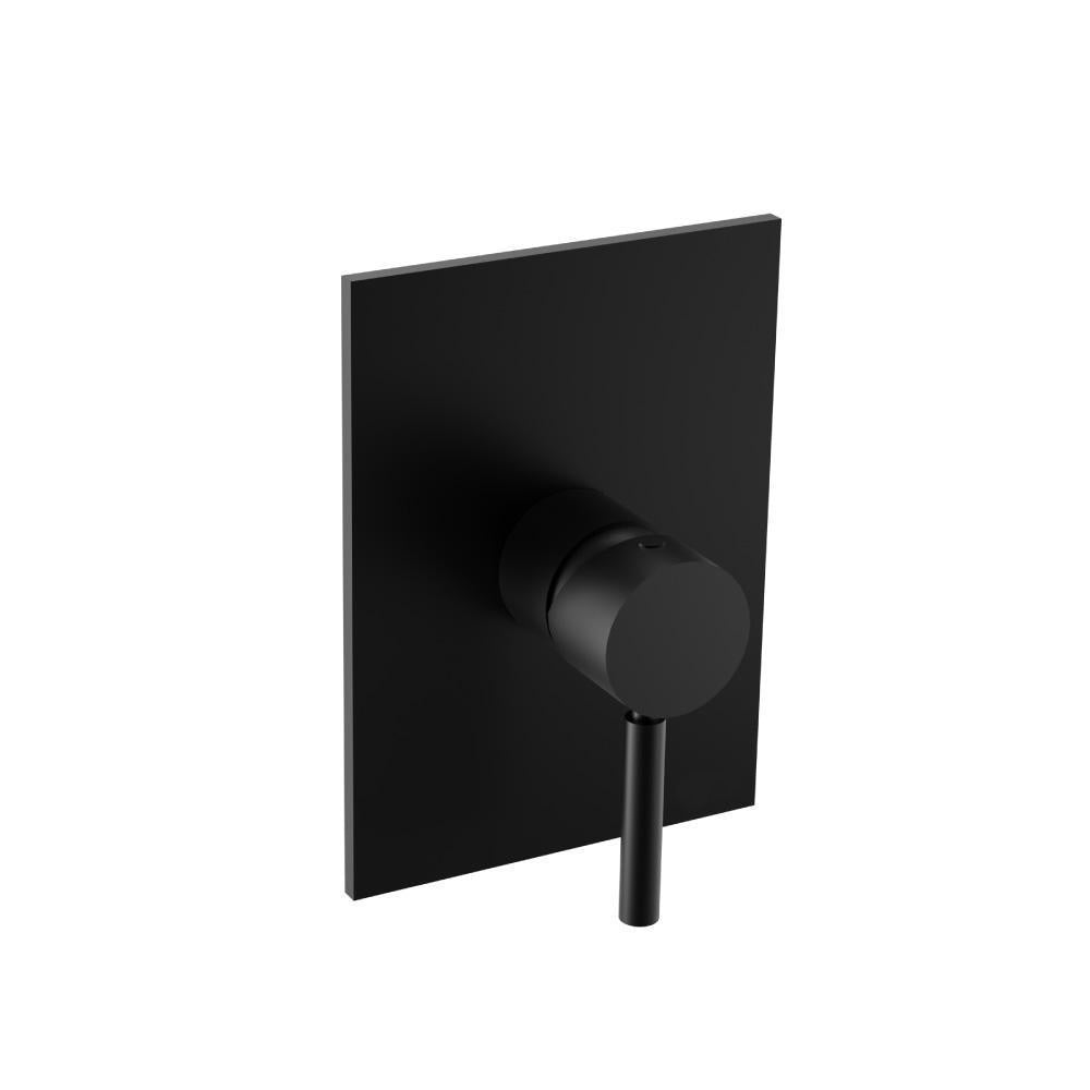 Shower Trim With Pressure Balance Valve