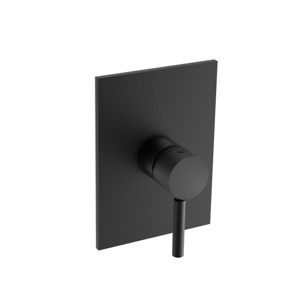Shower Trim With Pressure Balance Valve